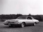 Buick Regal 1973 года